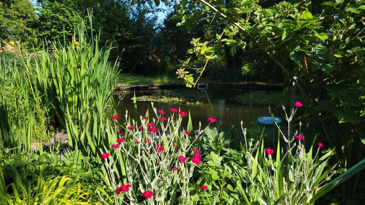 Relais De La Renaissance Bed and Breakfast Saint-Michel-de-Montaigne Εξωτερικό φωτογραφία